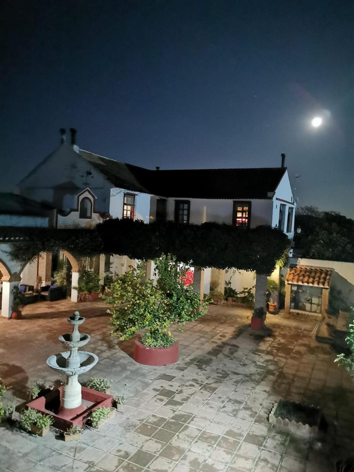 Bed and Breakfast Cortijo Carrillo à Cartaojal Extérieur photo