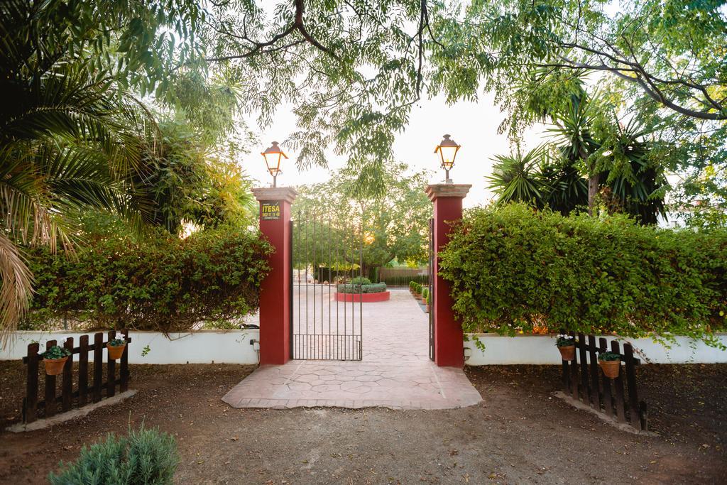 Bed and Breakfast Cortijo Carrillo à Cartaojal Extérieur photo